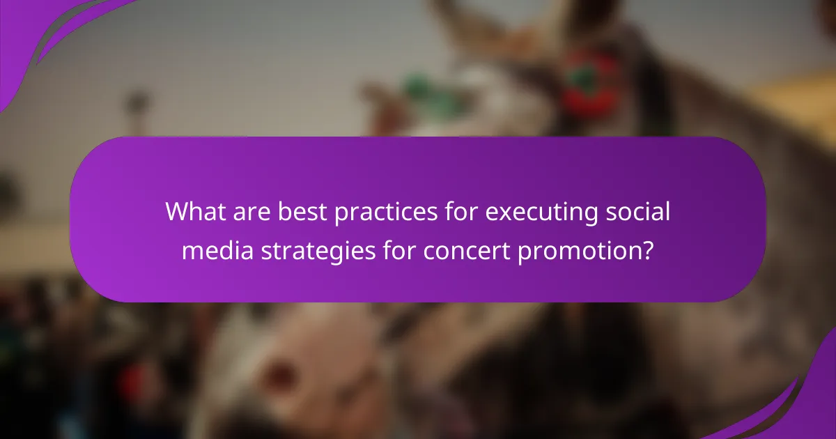 What are best practices for executing social media strategies for concert promotion?