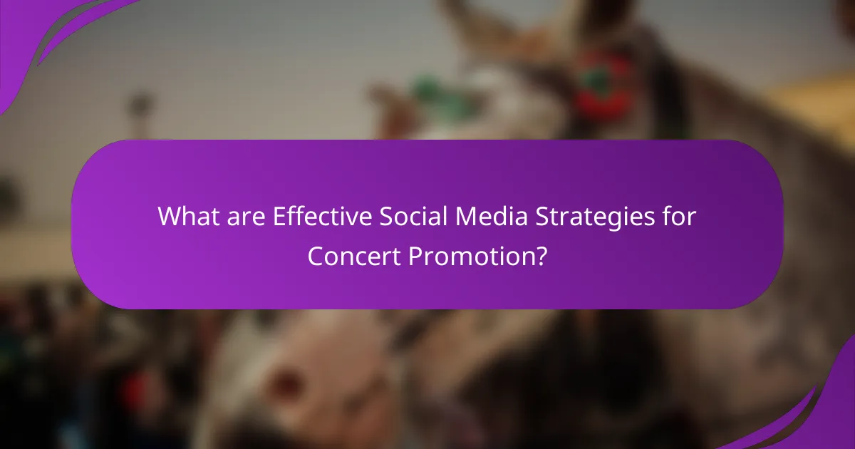 What are Effective Social Media Strategies for Concert Promotion?