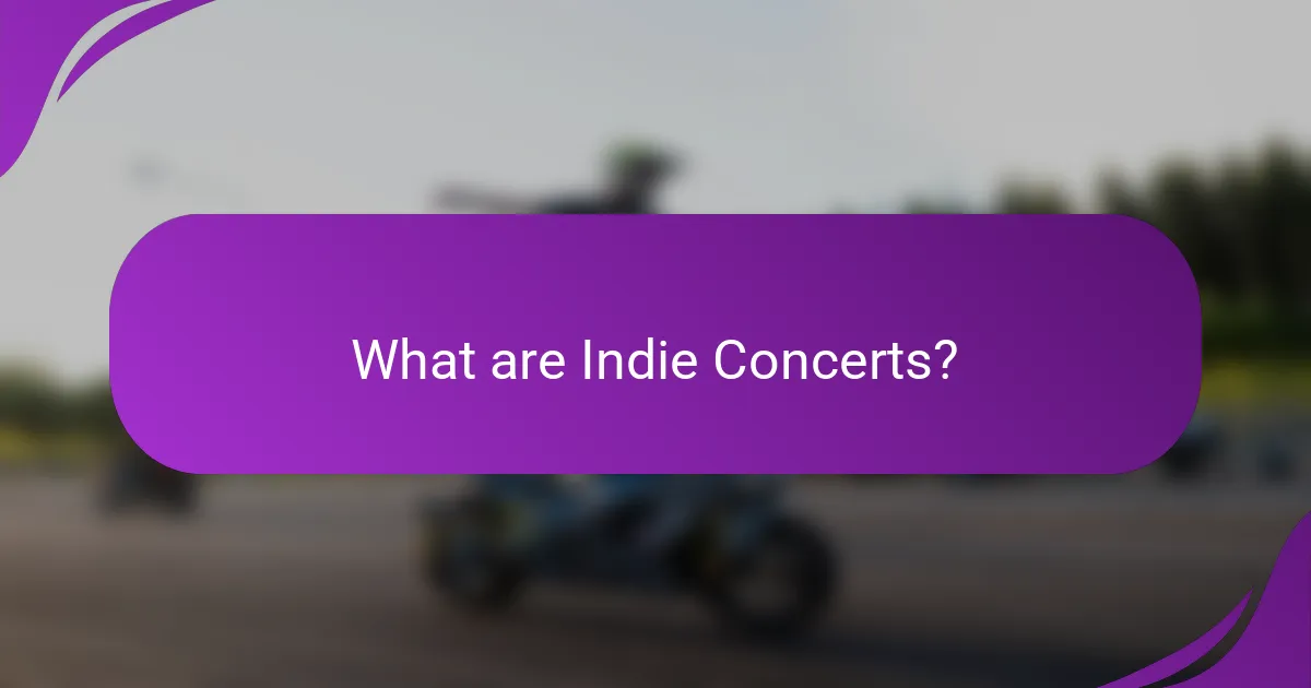 What are Indie Concerts?