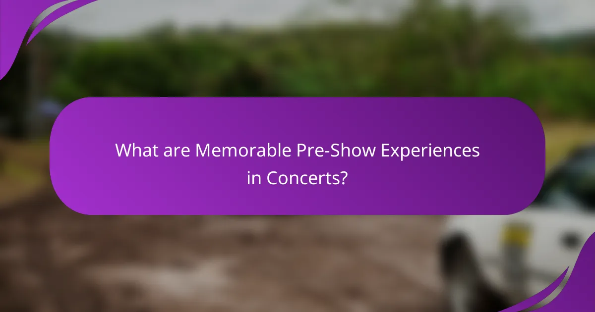 What are Memorable Pre-Show Experiences in Concerts?