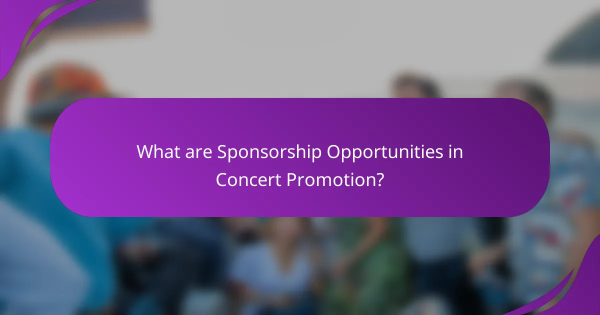 What are Sponsorship Opportunities in Concert Promotion?