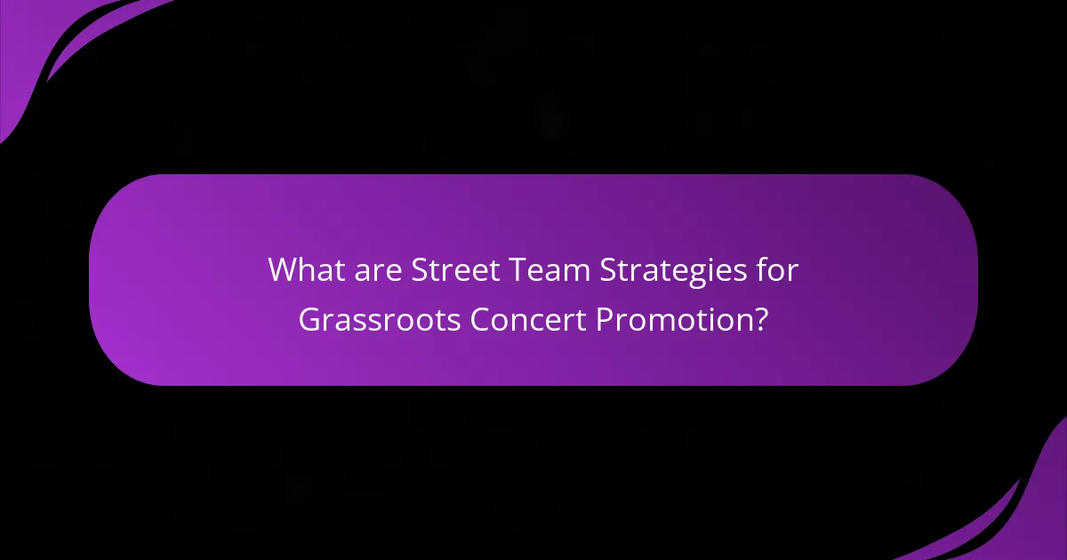 What are Street Team Strategies for Grassroots Concert Promotion?