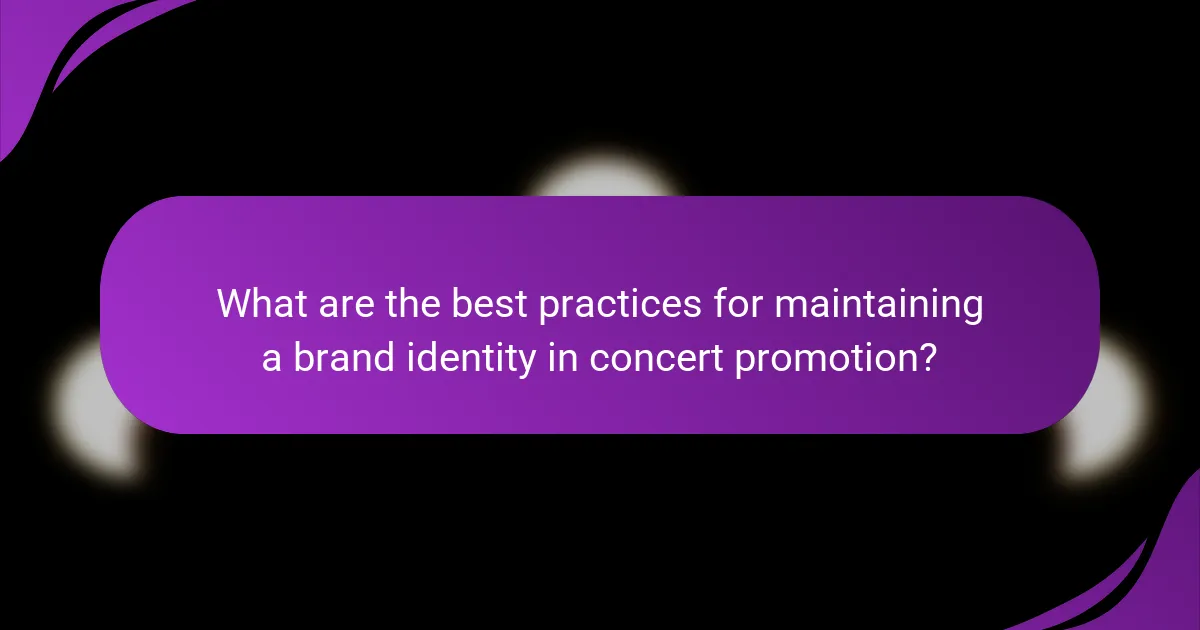 What are the best practices for maintaining a brand identity in concert promotion?