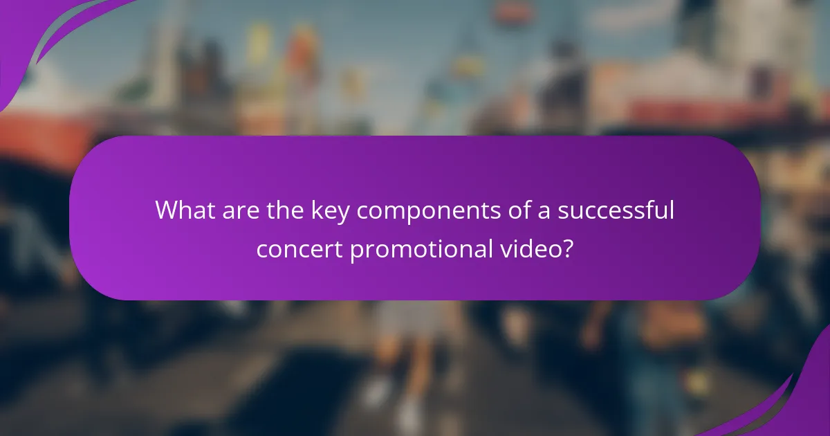 What are the key components of a successful concert promotional video?