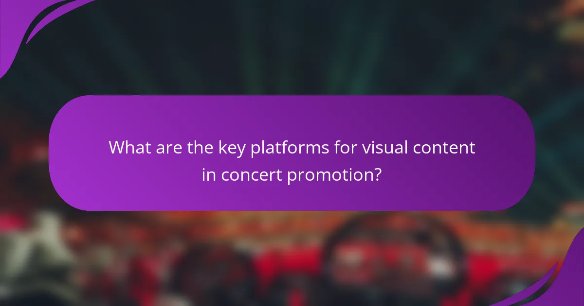 What are the key platforms for visual content in concert promotion?