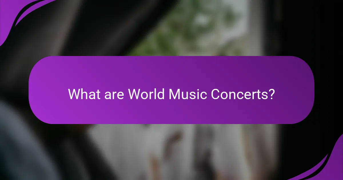 What are World Music Concerts?